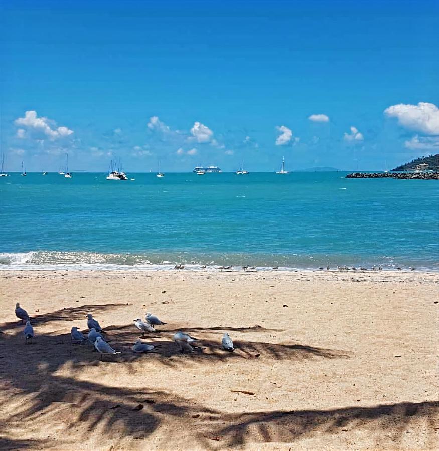 La Villa At Beach Court Airlie Beach Bagian luar foto